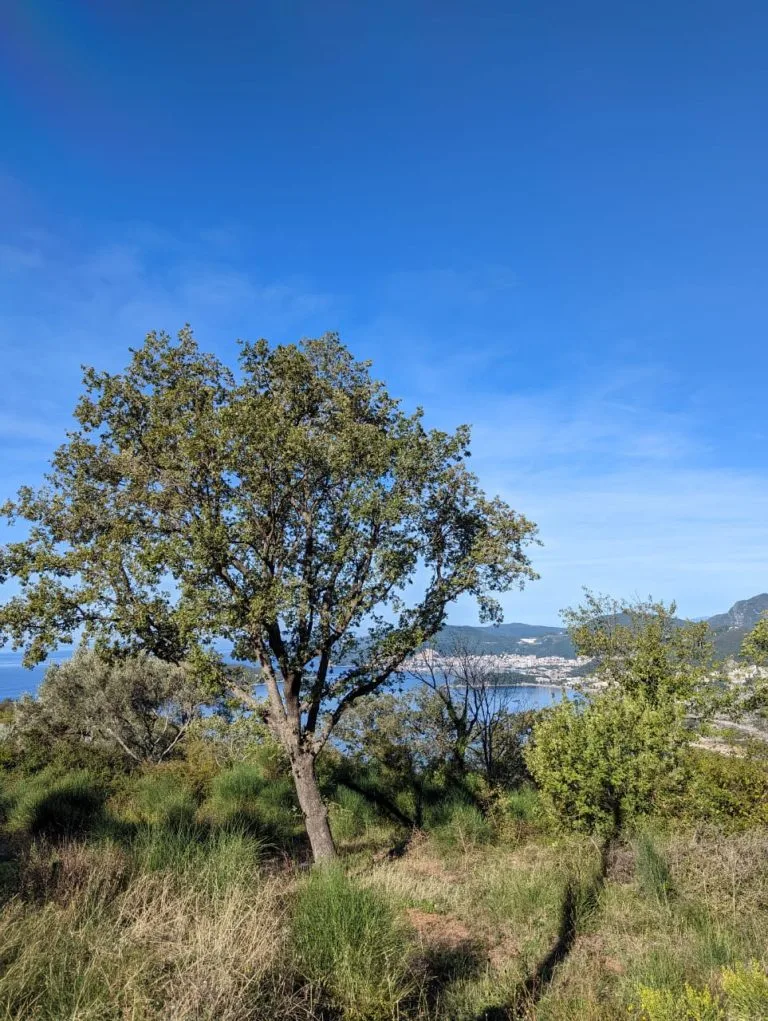Plac na Čelobrdu sa jedinstvenim pogledom na more