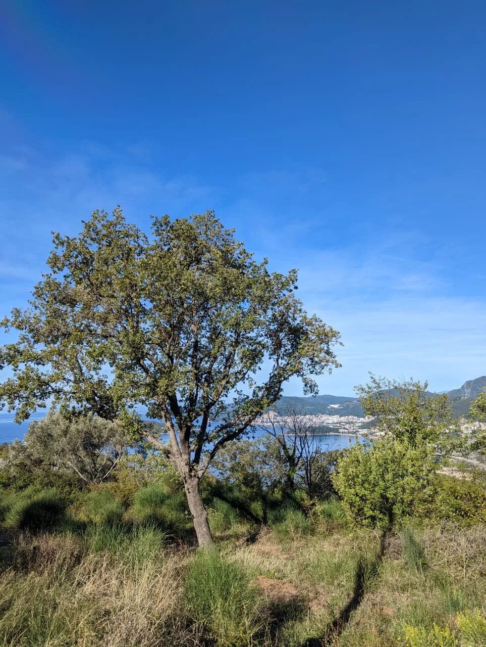 Plac na Čelobrdu sa jedinstvenim pogledom na more