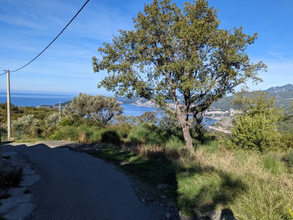 Zelenilo i more