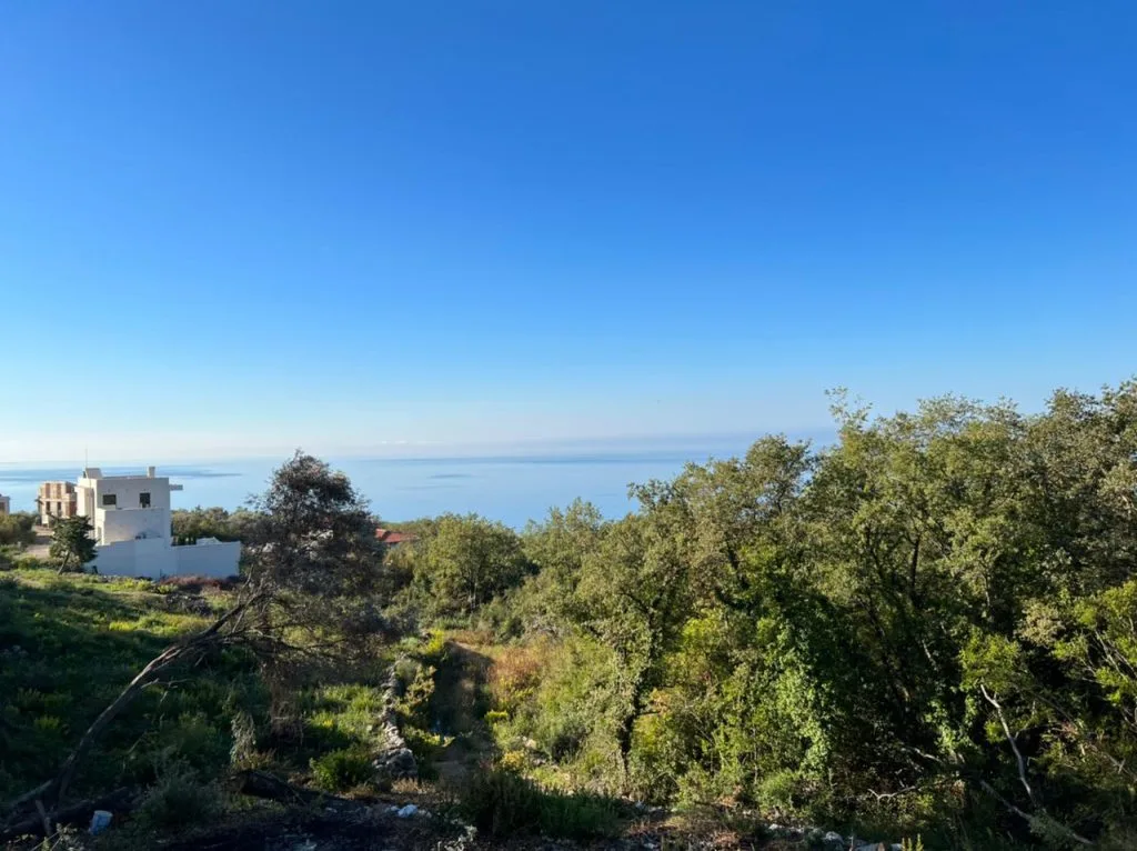 Pogled na more kod Svetog Stefana