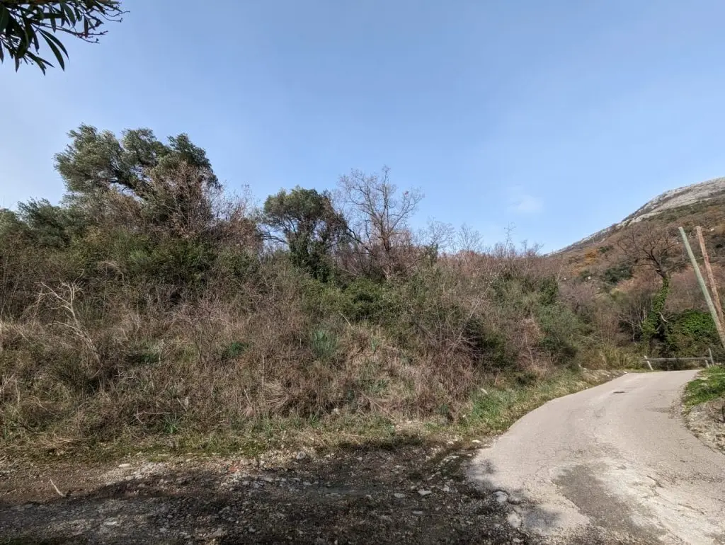 Asfaltirani put pored placa