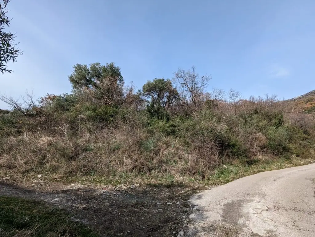 Kameni prilaz placu