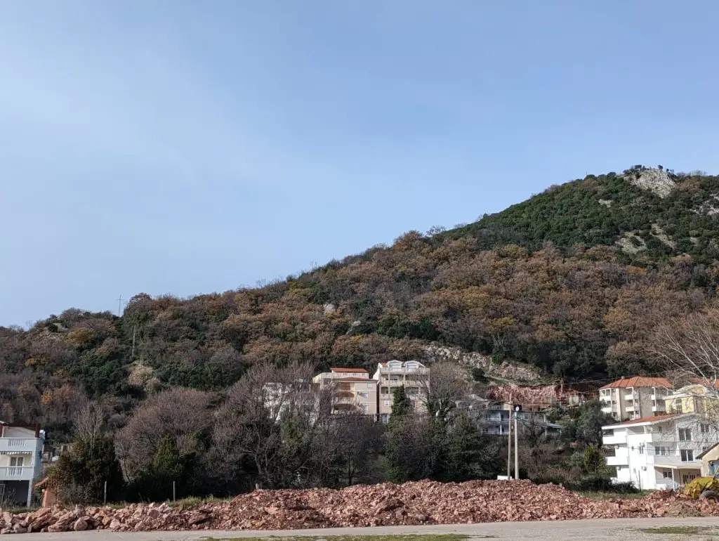 Pogled na šumu