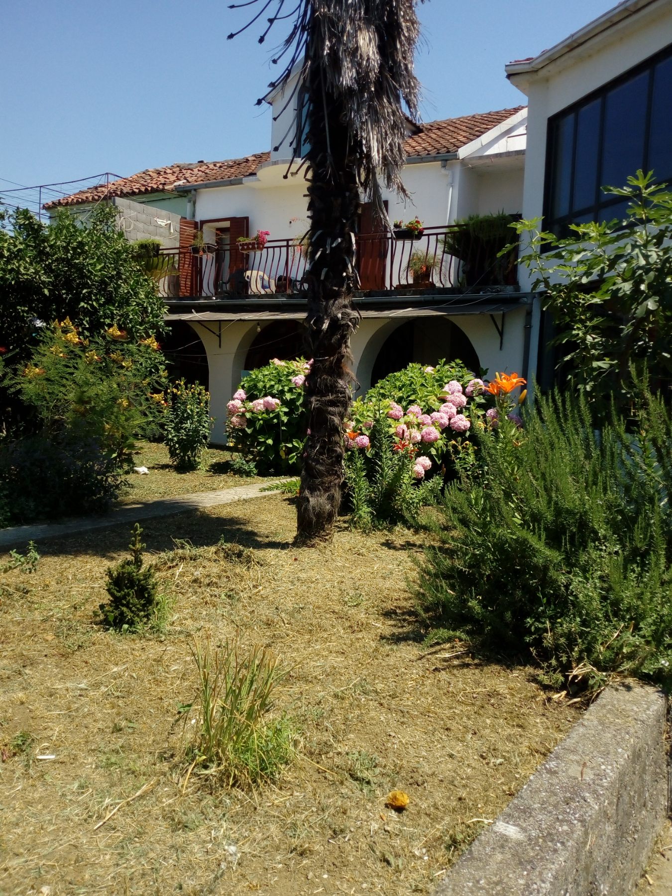 Tri kuće na zajedničkom placu u Podgorici