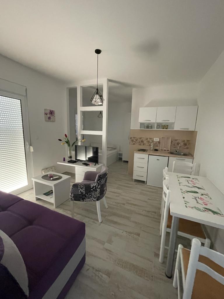 Dnevna soba sa kuhinjom u beloj boji