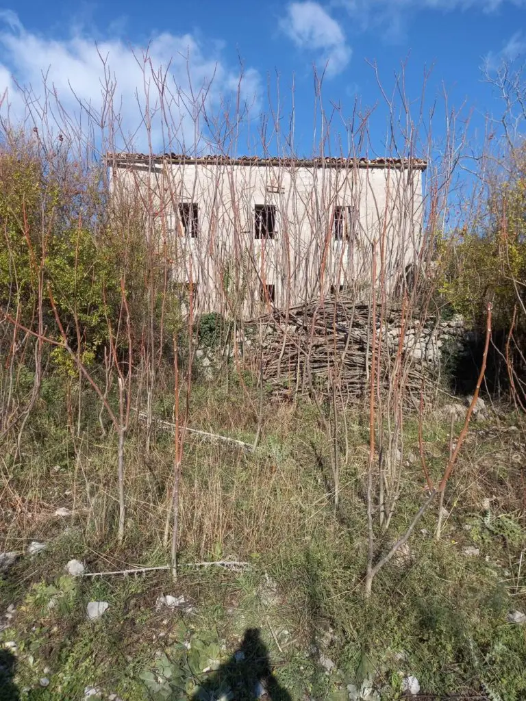 Stara kuca