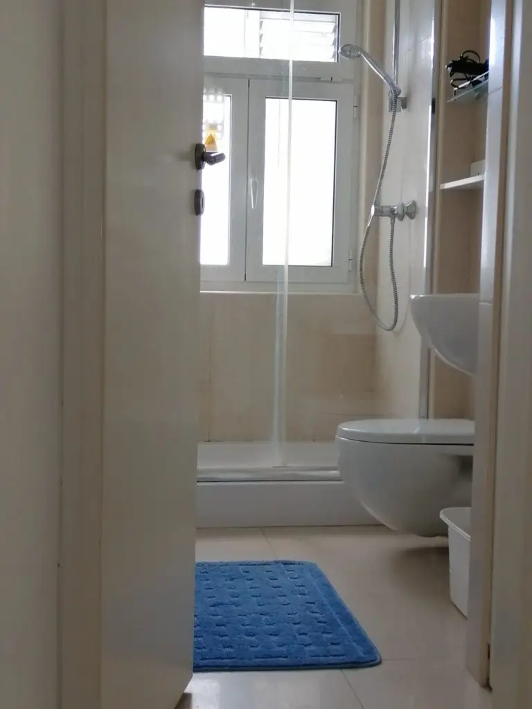 Bathroom with shower, toilet, and blue bath mat