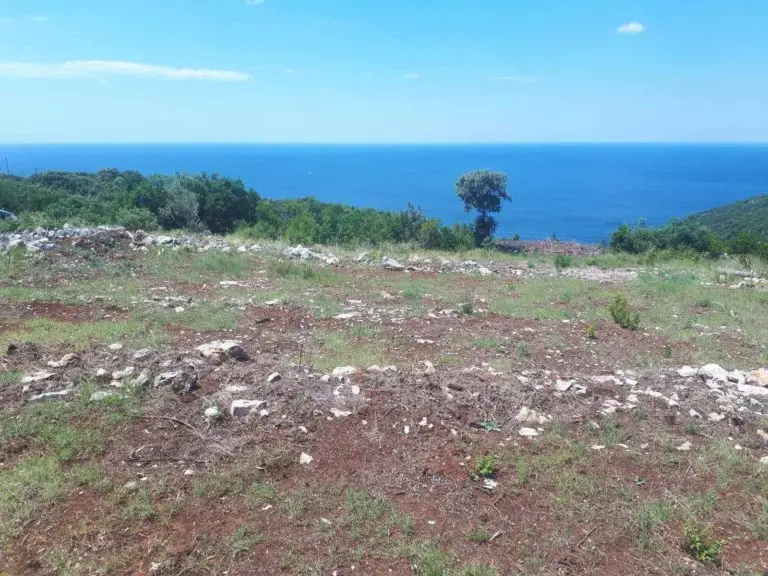 Rocky grassy plot overlooking the blue sea