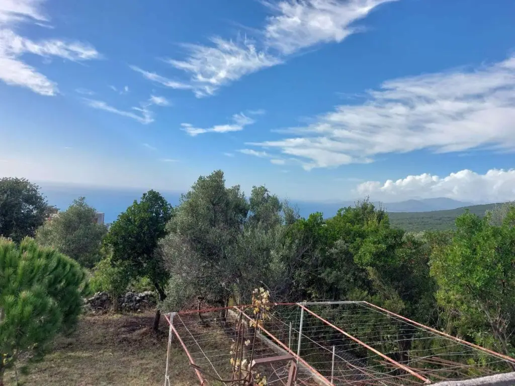 Tree-covered hillside with sea, mountains, and wire fence