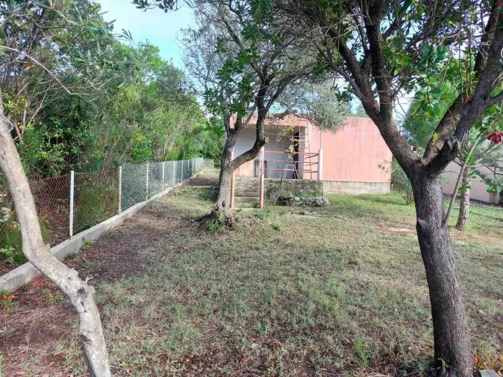 Grassy yard with trees and a small pink house