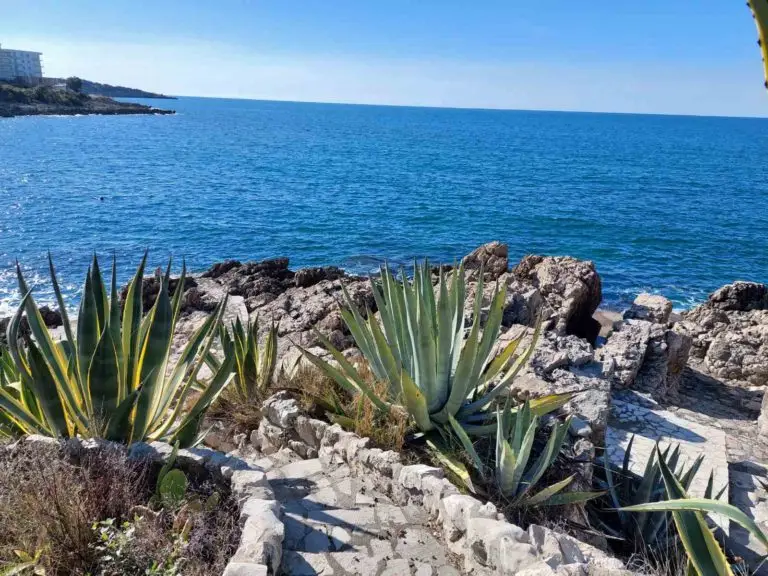 Rocky seaside path with agave plants and blue sea