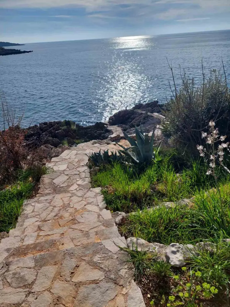 Stone path leading to rocky shoreline and sunlit sea