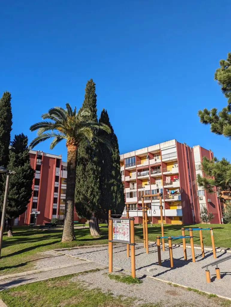 Apartment buildings behind a palm tree and exercise equipment