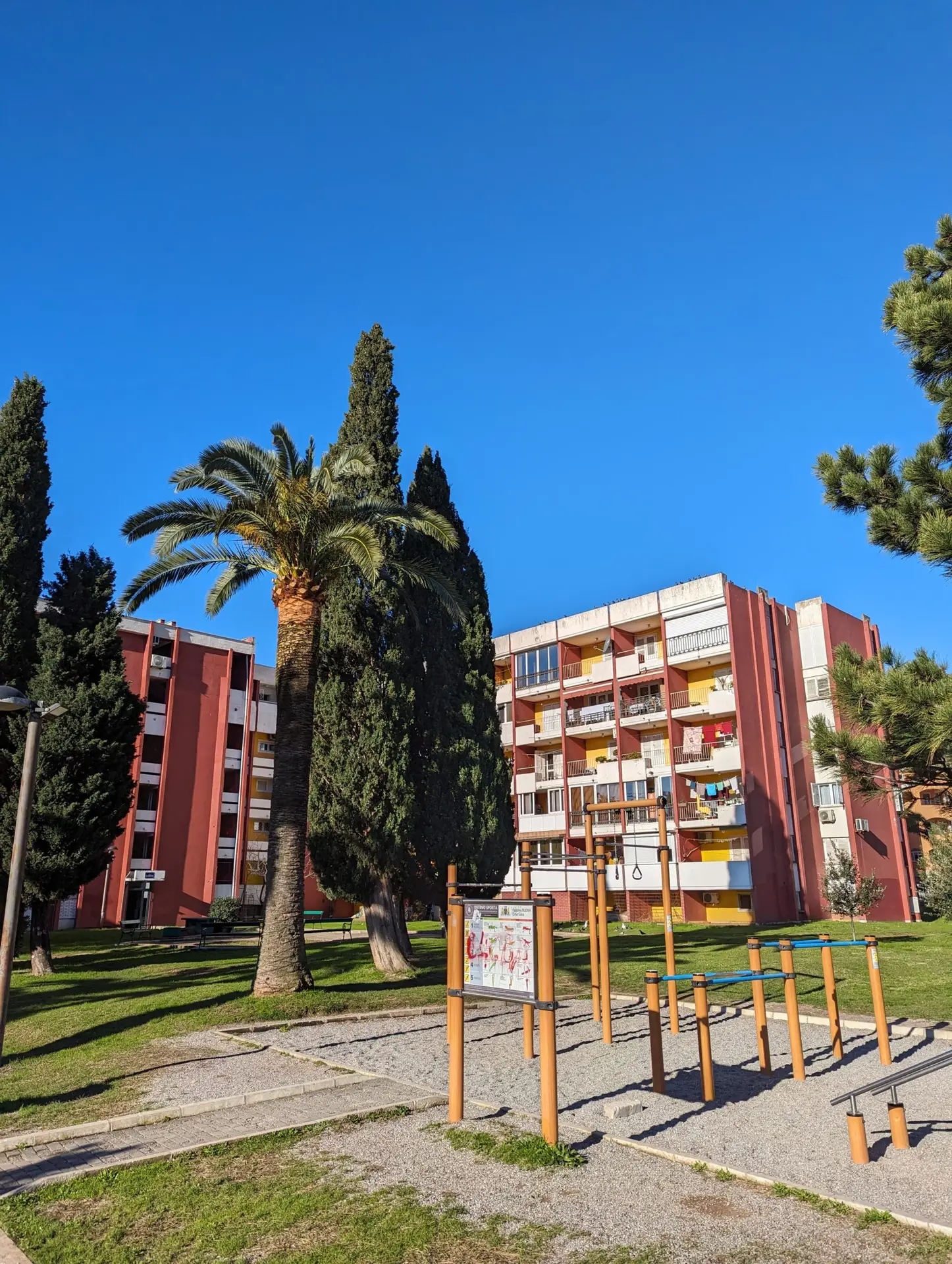 Apartment buildings behind a palm tree and exercise equipment