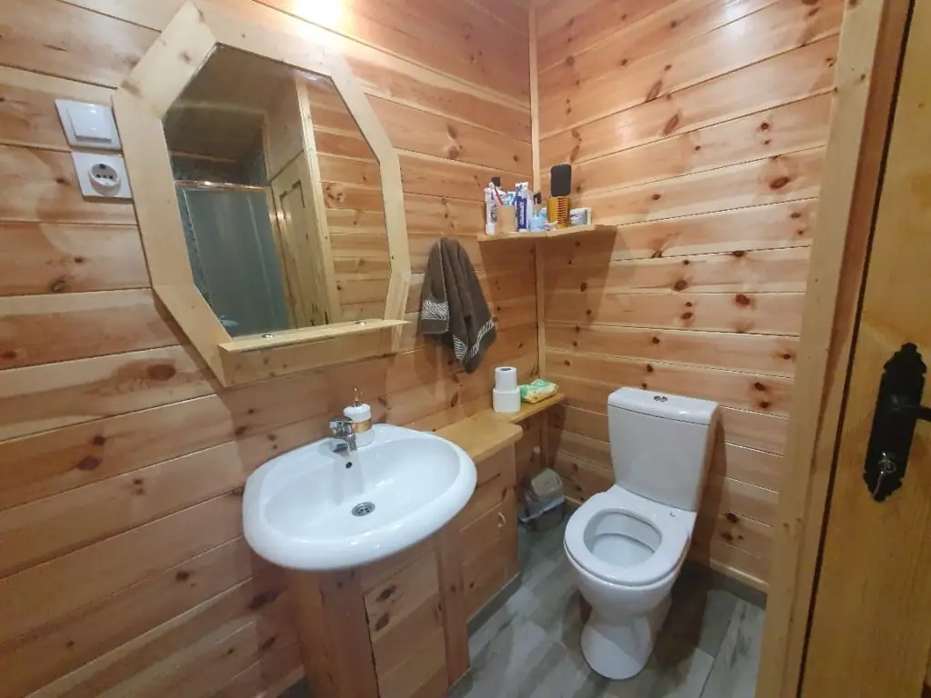 Wood-paneled bathroom with sink, mirror, and toilet