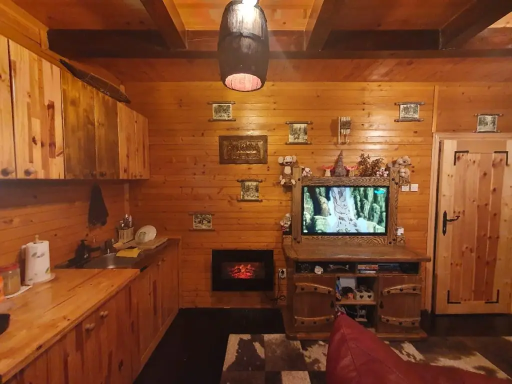 Wood-paneled cabin kitchen with TV, fireplace, and sink