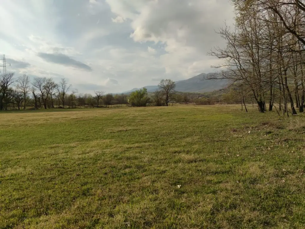 Grassy field with trees and distant mountains