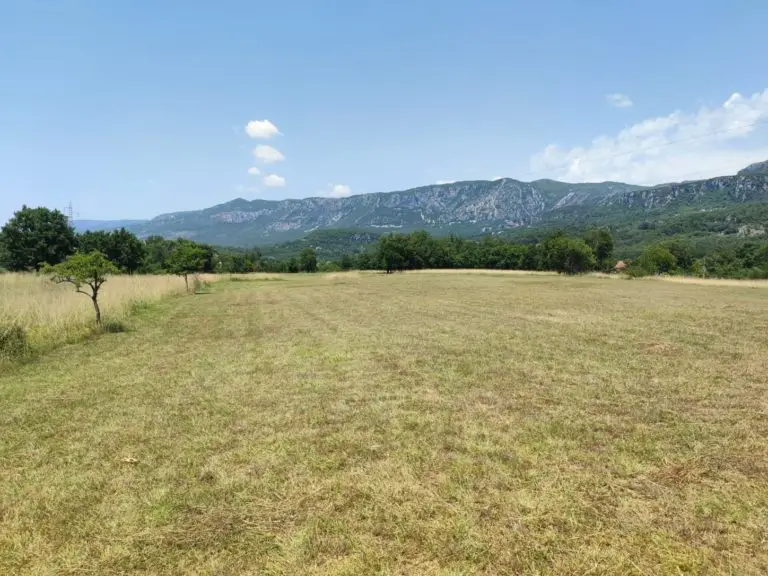 Mown grassy field with mountains under blue sky