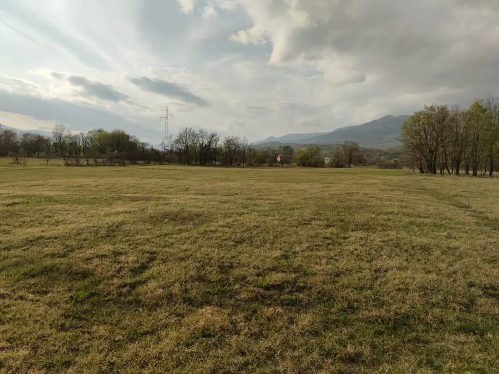 Grassy field with trees, mountains, and cloudy sky