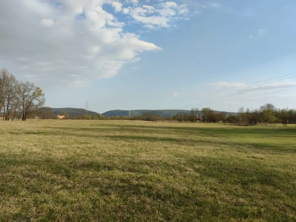 Open grassy field with trees, hills, and blue sky