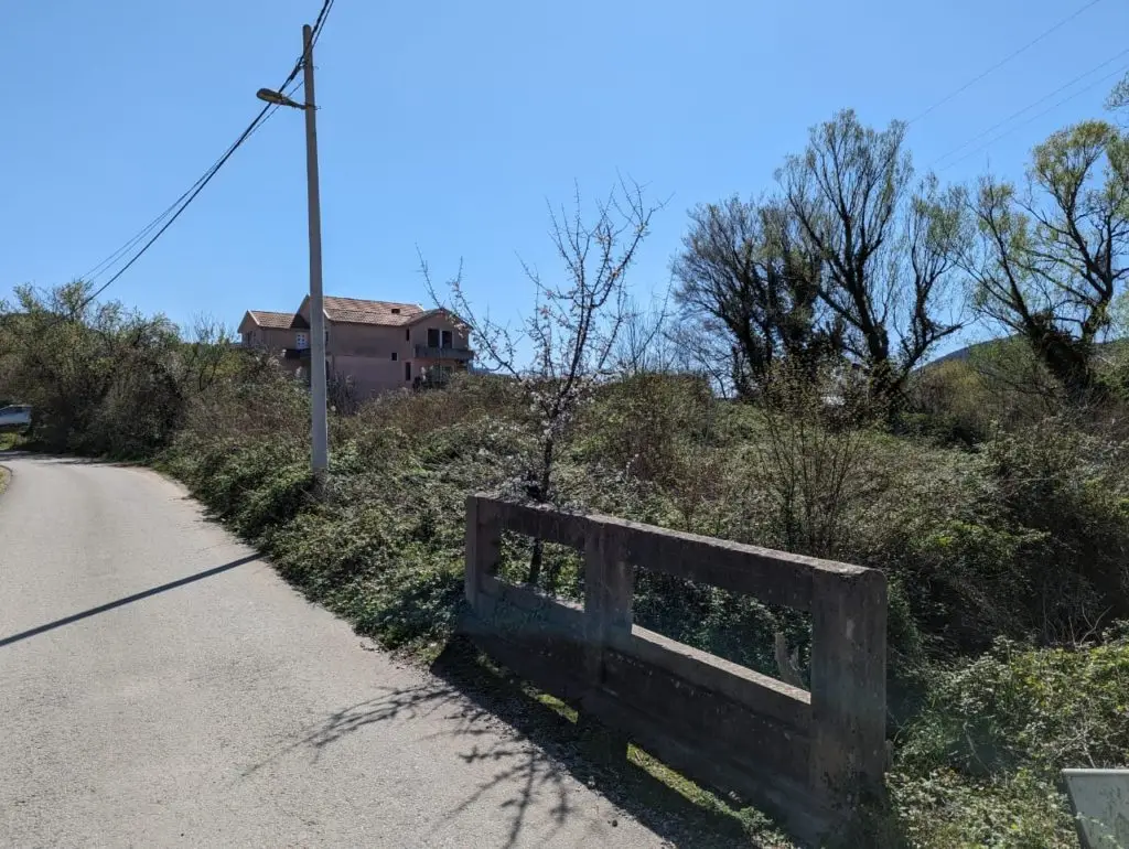 Narrow paved road beside overgrown lot and utility pole