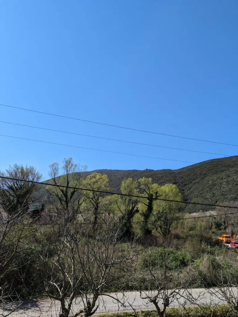 Hillside with trees, power lines, road, and orange truck