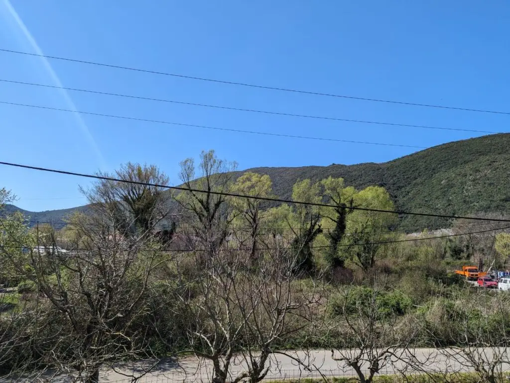 Tree-covered hillside under blue sky with power lines and road