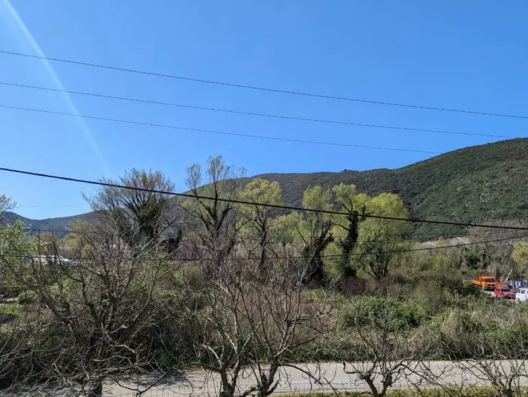 Tree-covered hillside under blue sky with power lines and road