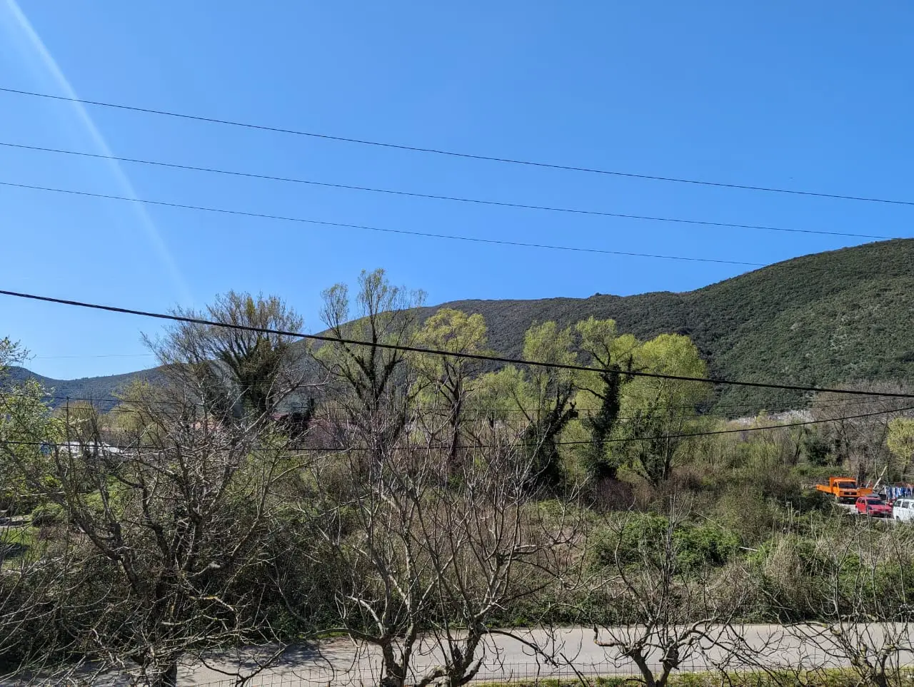 Tree-covered hillside under blue sky with power lines and road