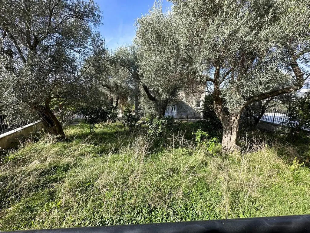 kuća u maslinjaku u Crnoj Gori