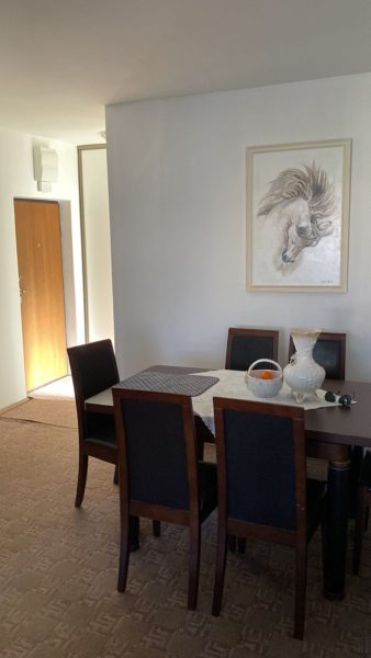 dvosoban stan u Crnoj Gori