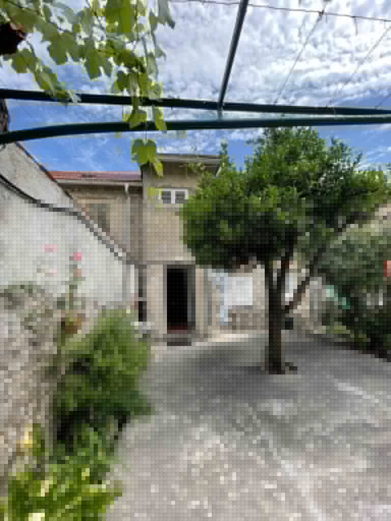Stone house courtyard with tree and paved yard