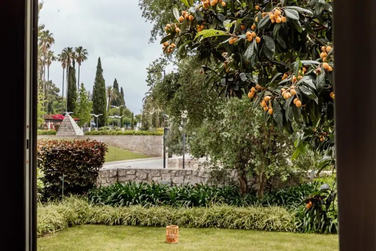 View of landscaped garden with fruit tree and path