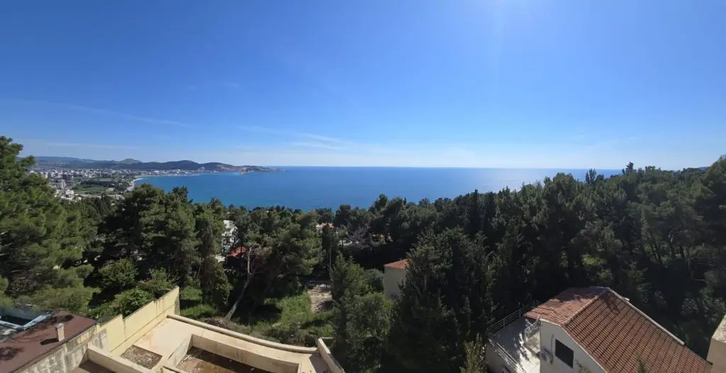 Coastal view with pine trees, rooftops, and blue sea