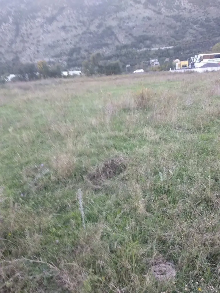 Grassy vacant field with mountains and roadside buildings in background