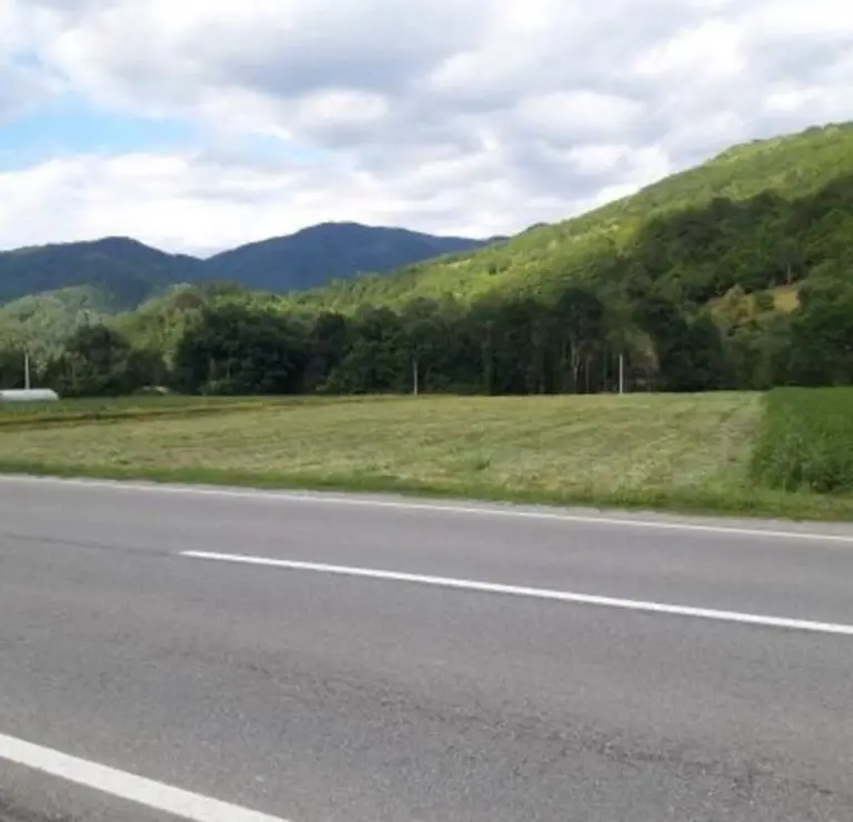 Paved road beside grassy field and forested mountains