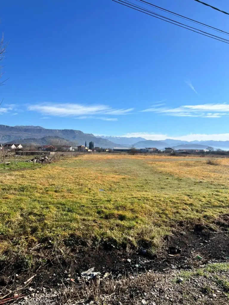 Grassy field with mountains under clear blue sky
