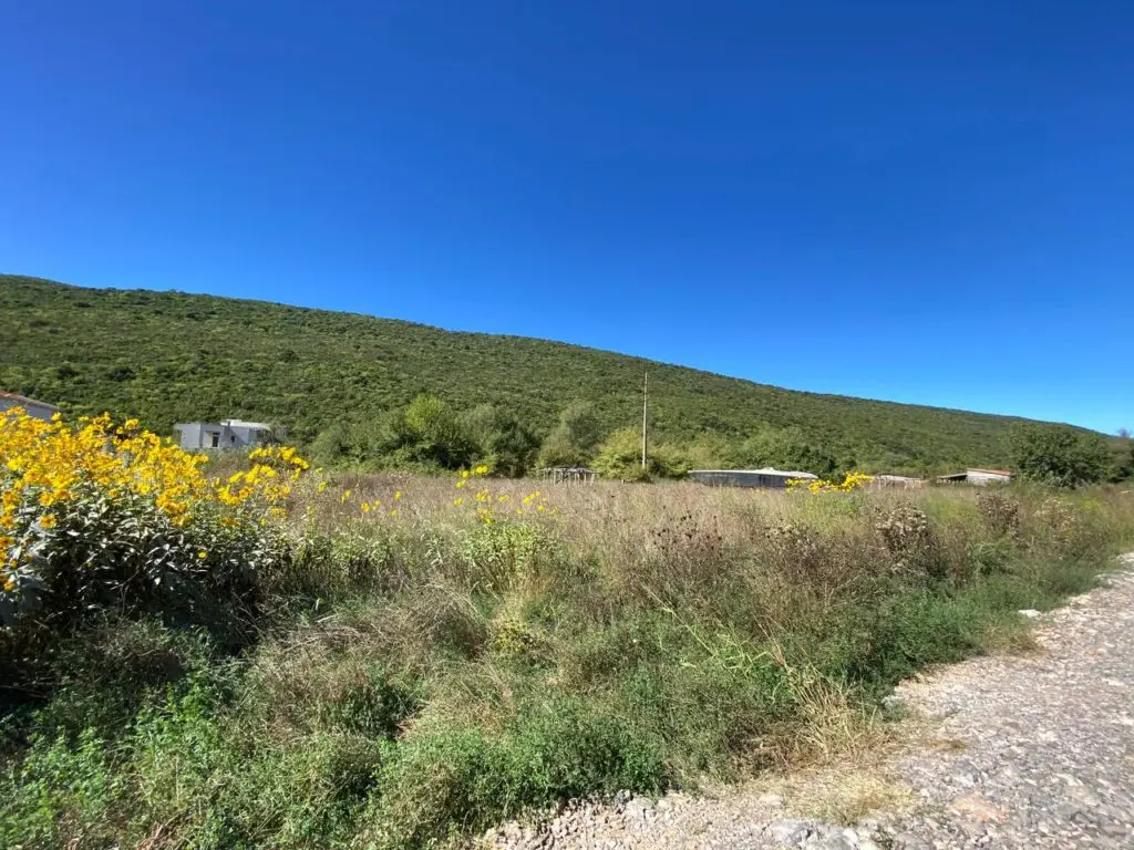 Grassy field beside gravel road under green hillside and blue sky