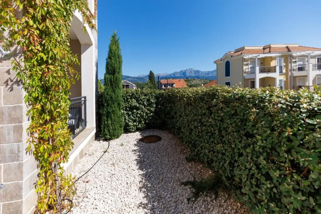 Gravel courtyard with hedge, cypress tree, and mountain view