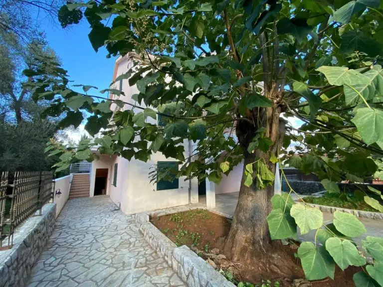 Three-story house with stone walkway and large tree in front