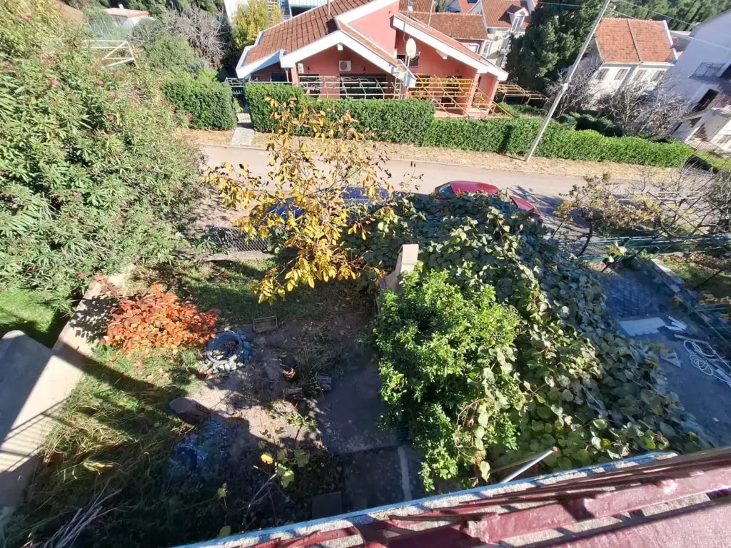 Overgrown front garden with houses and parked cars beyond road