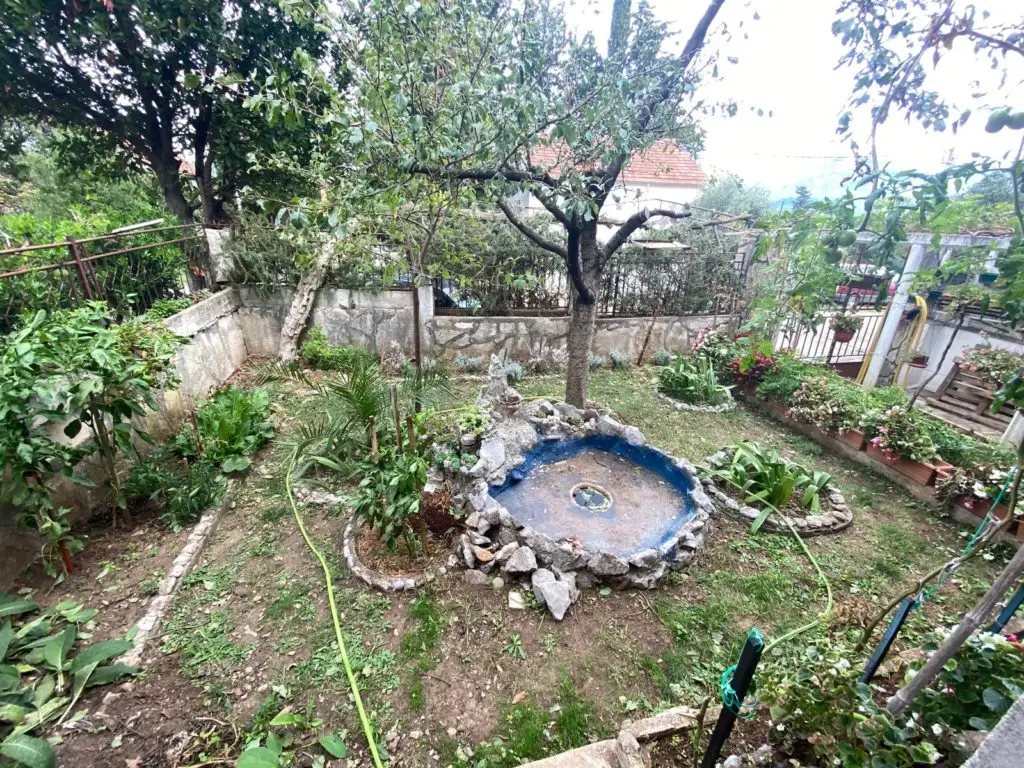Overgrown garden with stone pond and fruit trees