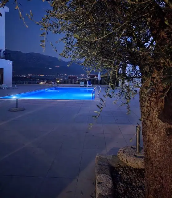 Illuminated outdoor pool at dusk with mountain view