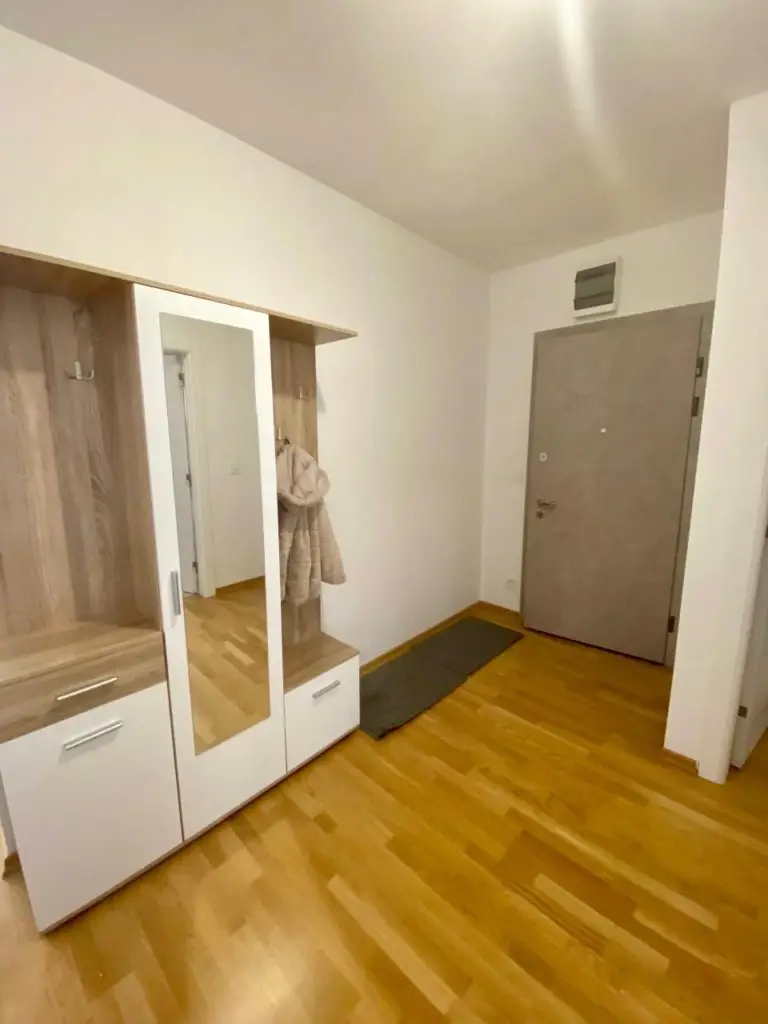 Entryway with mirrored wardrobe, wooden floor, and gray door