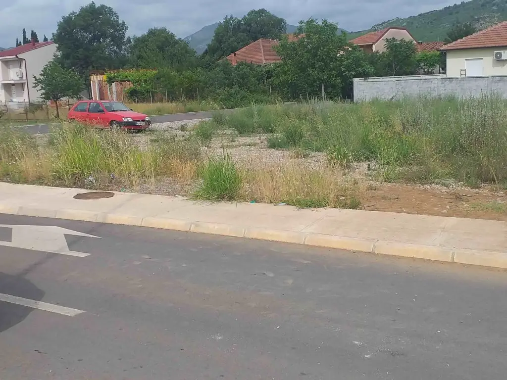 Overgrown vacant lot beside road, with red car and houses